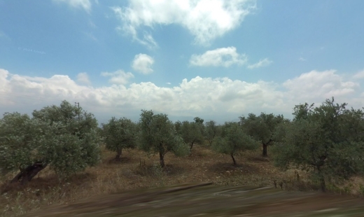 R9-1128 Land for Sale in Qalamoun – 1100 m², Panoramic Sea View أرض للبيع في القلمون – 1100 متر مربع، إطلالة بحرية بانورامية