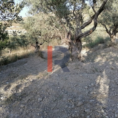 R9-1236 Land For Sale in Bhabdoun - Shekka