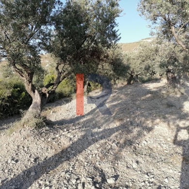 R9-1236 Land For Sale in Bhabdoun - Shekka — 4