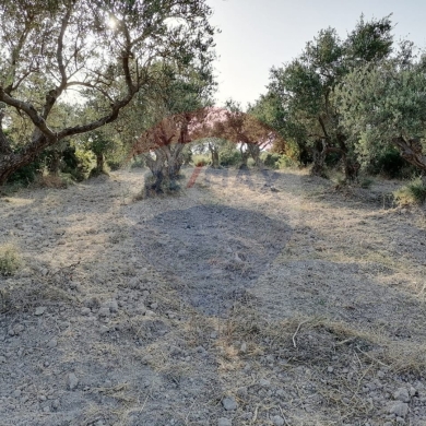 R9-1236 Land For Sale in Bhabdoun - Shekka — 5