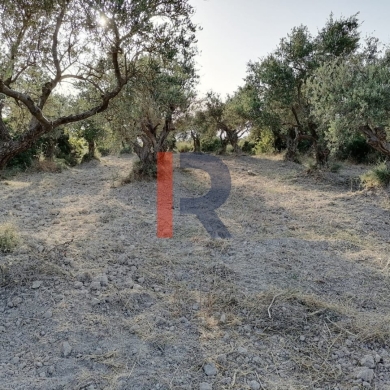 R9-1236 Land For Sale in Bhabdoun - Shekka — 5