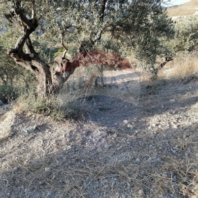 R9-1236 Land For Sale in Bhabdoun - Shekka — 2