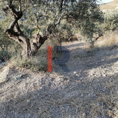 R9-1236 Land For Sale in Bhabdoun - Shekka — 2
