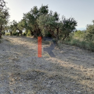 R9-1236 Land For Sale in Bhabdoun - Shekka — 3