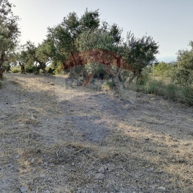 R9-1236 Land For Sale in Bhabdoun - Shekka — 3