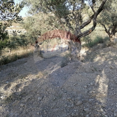 Lands for sale in Chekka - R9-1236 Land For Sale in Bhabdoun - Shekka