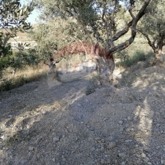 R9-1236 Land For Sale in Bhabdoun - Shekka