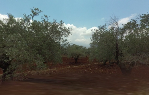 R9-1230 Land For Sale in Batroumin - Koura