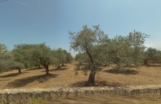 R9-1253 2 Lands For Sale in Dar Baashtar - Koura