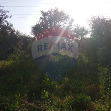 Lands for sale dans Deddeh - R9-1248 Land For Sale In Kousba - Koura