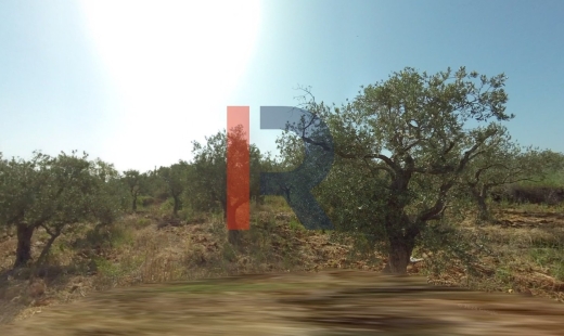 R9-1251 Land For Sale in Nakhle - Koura