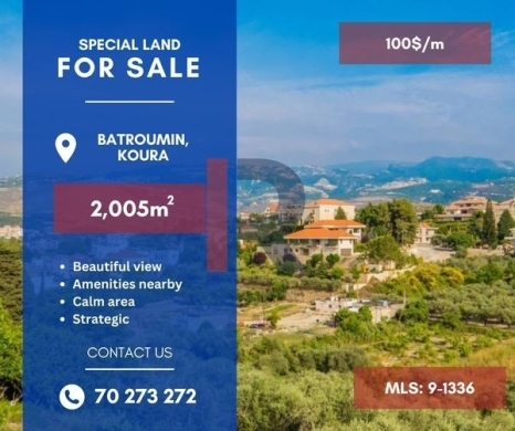 R9-1336 Huge 2005 land for sale - Batroumine!