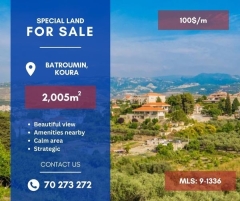 R9-1336 Huge 2005 land for sale - Batroumine!