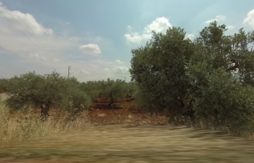 R9-1445 Land for Sale in Btorram-Koura - 1084 sqm!