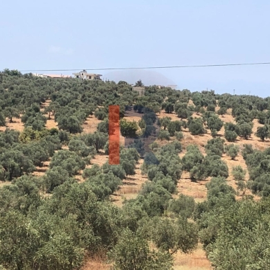 R9-1447 Huge Plots for Sale in Akkar!