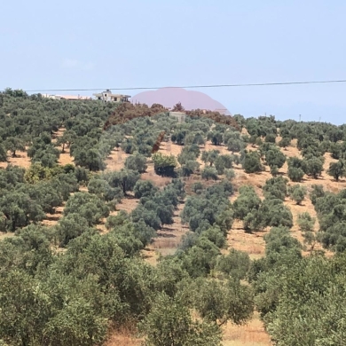 Lands for sale in Berqayel - R9-1447 Huge Plots for Sale in Akkar!