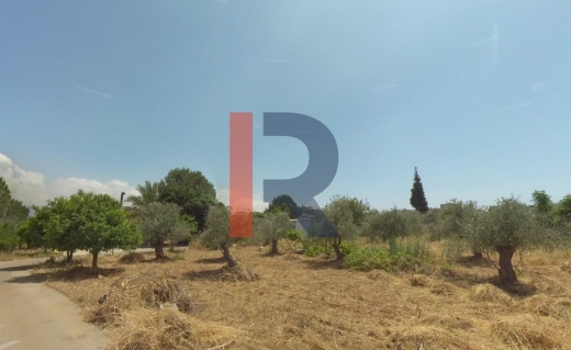 R9-1674 Land for Sale in Nakhleh, Koura – 616 sqm with 20/40 Zoning