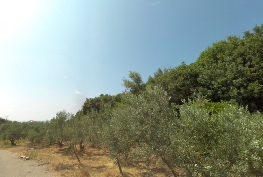 R9-1737 Residential and Commercial Land 1320m for sale in Kfar Abida - Batroun