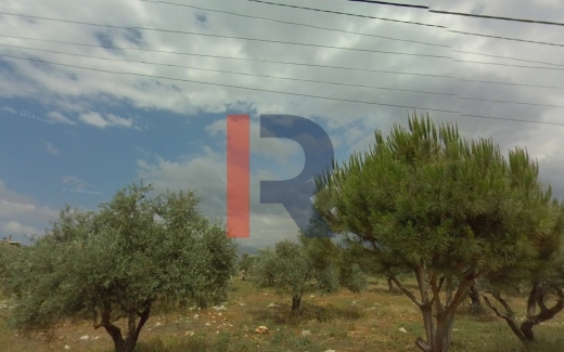 R9-1771 Land 1535m for sale in Nakhleh - Koura