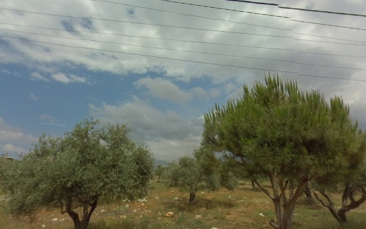 R9-1771 Land 1535m for sale in Nakhleh - Koura