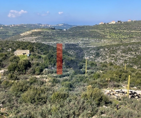 R9-1782 Land 1334m for sale in Dar Baachtar - Koura