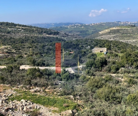 R9-1782 Land 1334m for sale in Dar Baachtar - Koura — 2