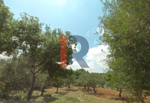 R9-1857 Land for Sale in Aaba - Koura