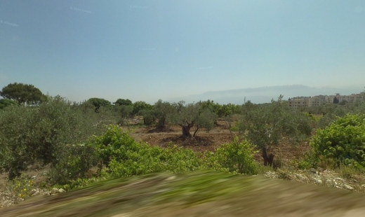 R9-1864 Land For Sale in Deddeh Koura