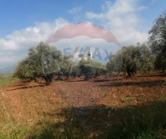 R9-2123 Land 3187m for sale in Alma - Denniyeh Road