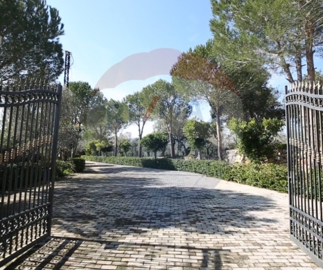 Villas for sale dans Batroumine - R9-2198 Villa 600m with land 3000m for sale in Batroumine - Koura