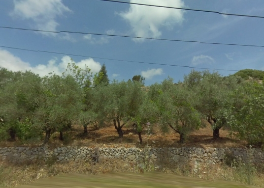 R9-2282 Land 1803m for Sale in Bterram - Koura