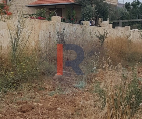 R9-2302 Land 8160m for sale in Jdaideh – Akkar, Planted with Olive Trees