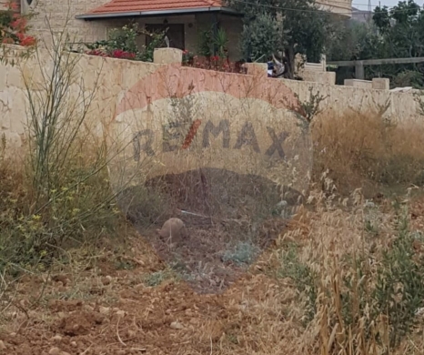 Lands for sale in Jdeideh - R9-2302 Land 8160m for sale in Jdaideh - Akkar, Planted with Olive Trees