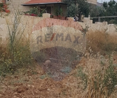 R9-2302 Land 8160m for sale in Jdaideh – Akkar, Planted with Olive Trees