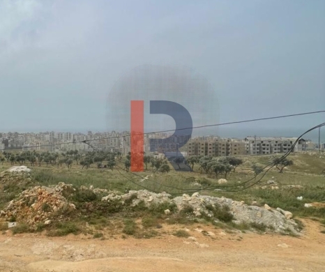 R9-2343 Industrial Land for Sale Between Mejdlaya and Terbol – North Lebanon — 4