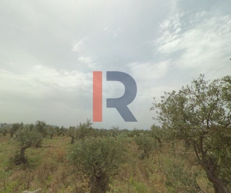 R9-2484 Industrial Land 424m for Sale in Anfeh – Chekka — 2