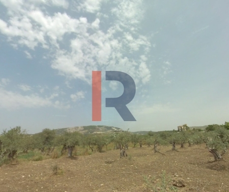 R9-2484 Industrial Land 424m for Sale in Anfeh – Chekka — 3
