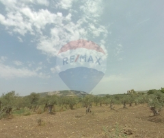 R9-2485 Industrial Land for Sale in Anfeh – Chekka – 7,382 m²أرض صناعية للبيع في أنفه – شكا – 7,382 متر مربع