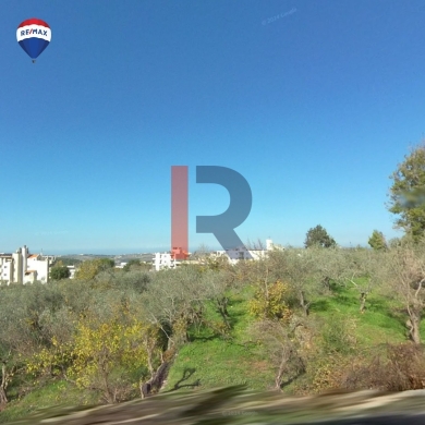 R9-2495 Land 4619m for Sale in Rahbeh – Akkar — 2