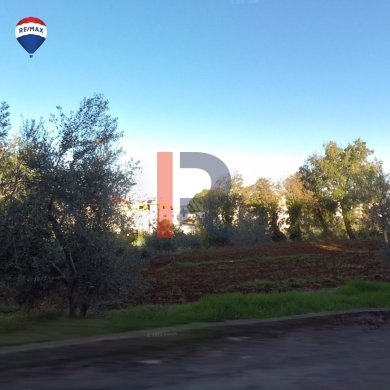 R9-2495 Land 4619m for Sale in Rahbeh – Akkar — 3