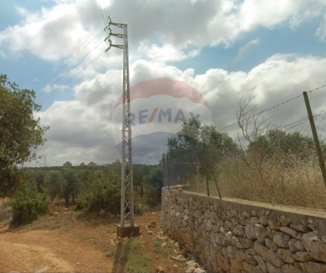 Lands for sale dans Nakhleh - R9-2499 Land 4970m² for Sale in Nakhleh - Koura