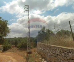 R9-2499 Land 4970m² for Sale in Nakhleh – Koura