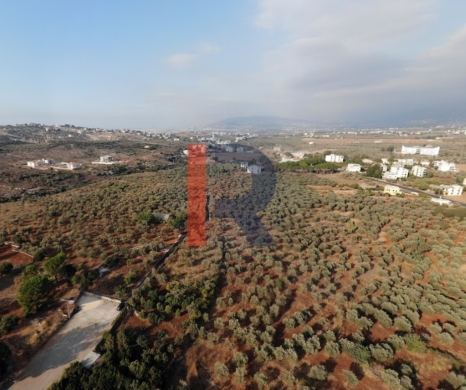 R9-2532 Land for Sale in Aaba – Koura — 4