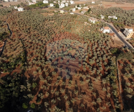 R9-2532 Land for Sale in Aaba – Koura — 3