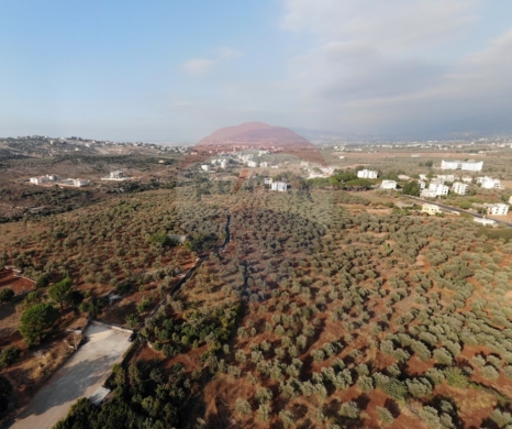R9-2532 Land for Sale in Aaba – Koura — 4