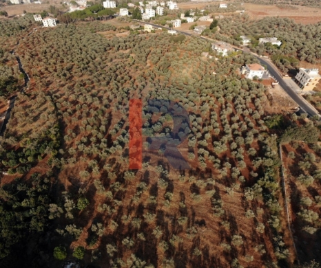 R9-2532 Land for Sale in Aaba – Koura — 3