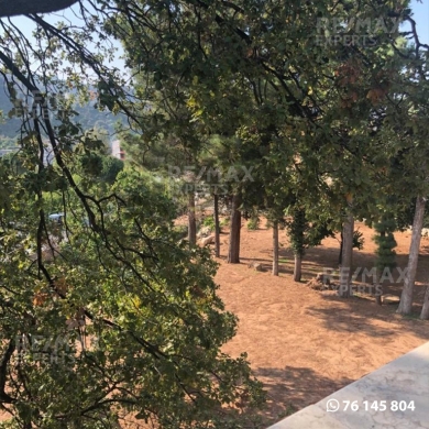 R9-138 Classic Lebanese house for sale in Dinniyeh — 2