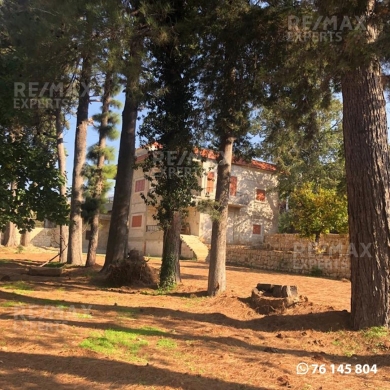 R9-138 Classic Lebanese house for sale in Dinniyeh — 3