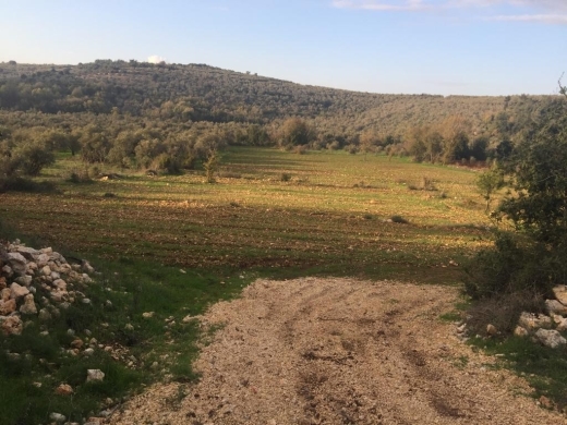 Lands for sale in Beino - R9-99 Land 8,694 sqm, for Sale in Bayno, Akkar