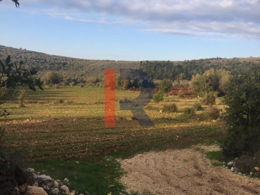 R9-99 Land 8,694 sqm, for Sale in Bayno, Akkar — 2